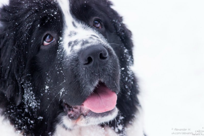 Фотография № 171677