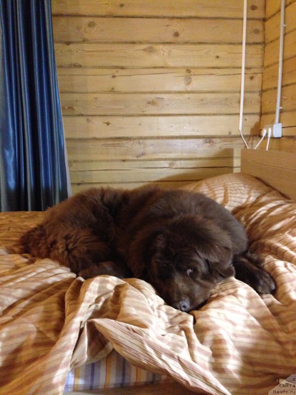 Фотография № 171699