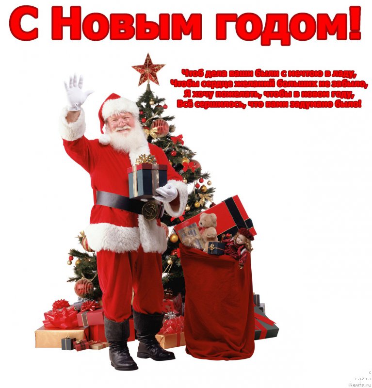 Фотография № 171702