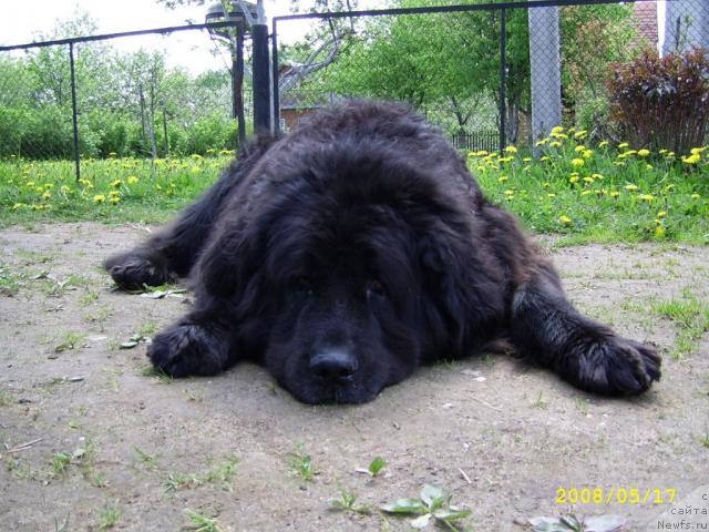 Фото: Наталья Корнийчук