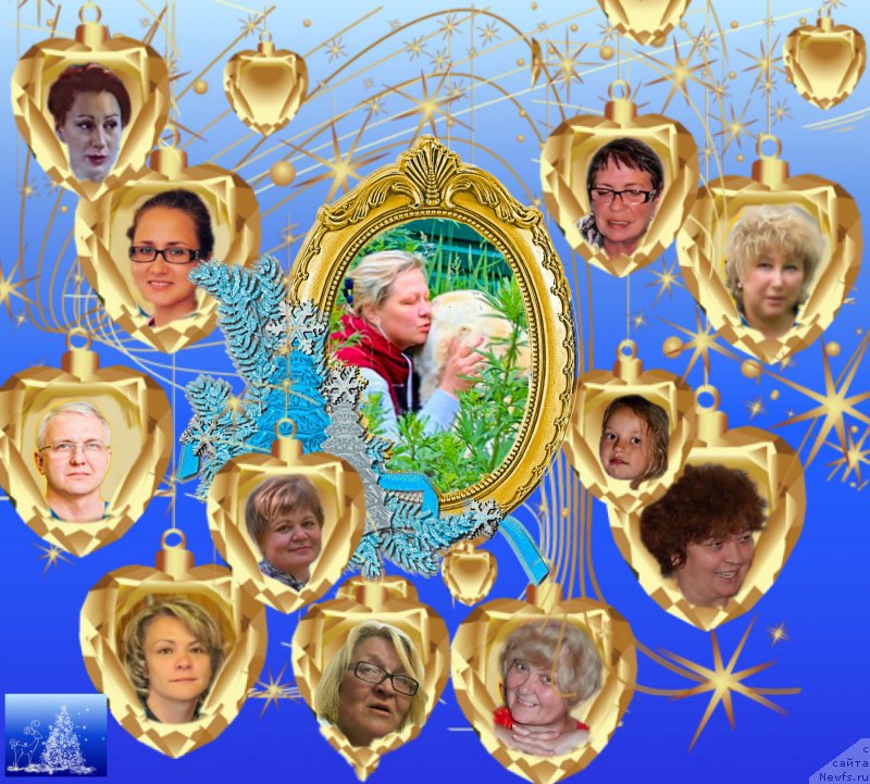 Фотография № 171748