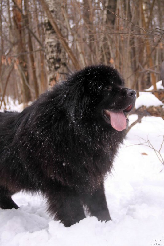 Фотография № 171759