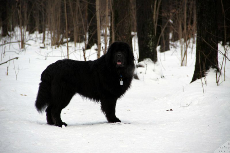 Фотография № 171761