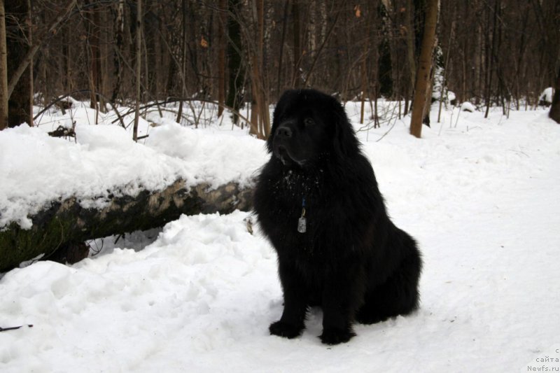 Фотография № 171763