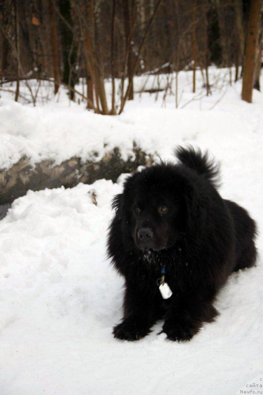 Фотография № 171764