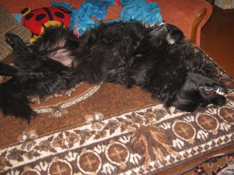 Фотография № 171765