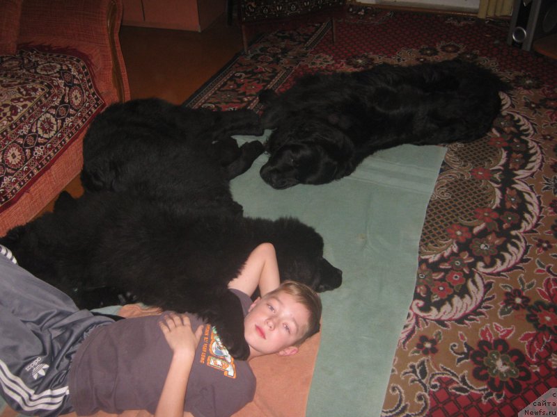 Фотография № 171767