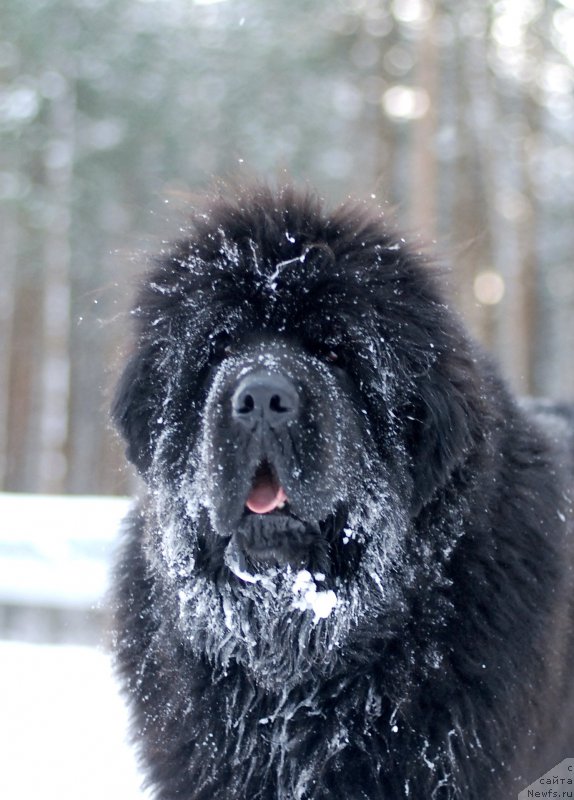 Фотография № 171787