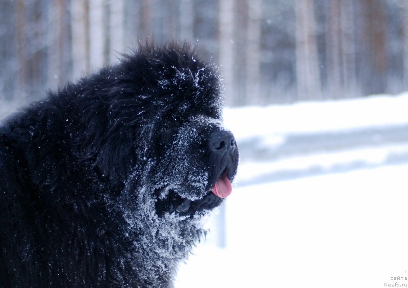 Фотография № 171788