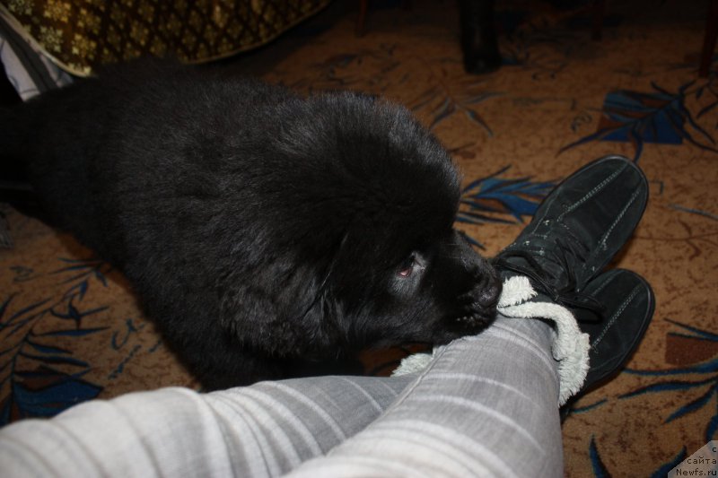 Фотография № 171792