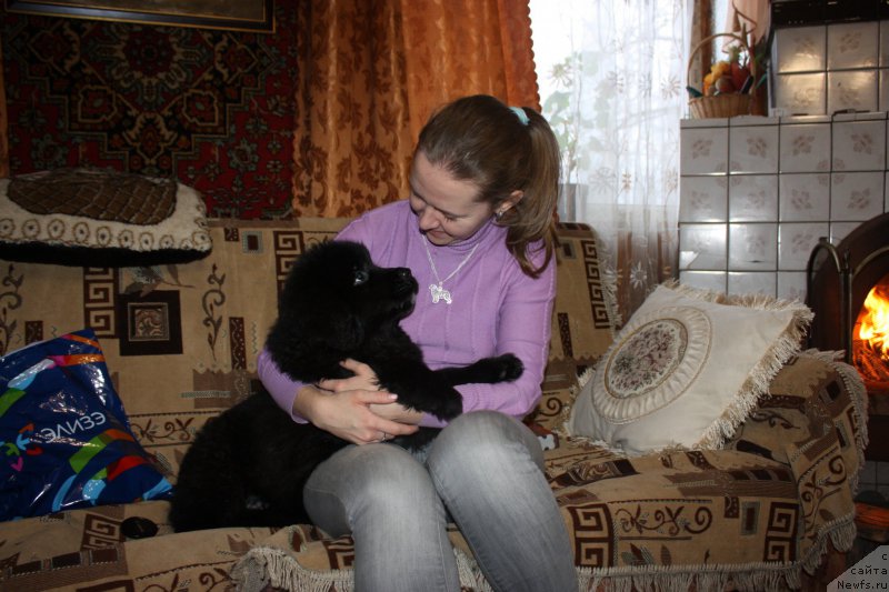 Фотография № 171793