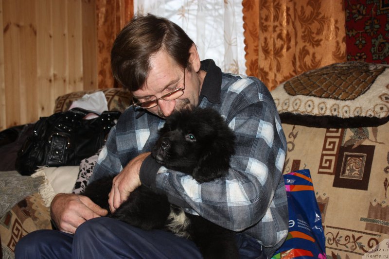 Фотография № 171794