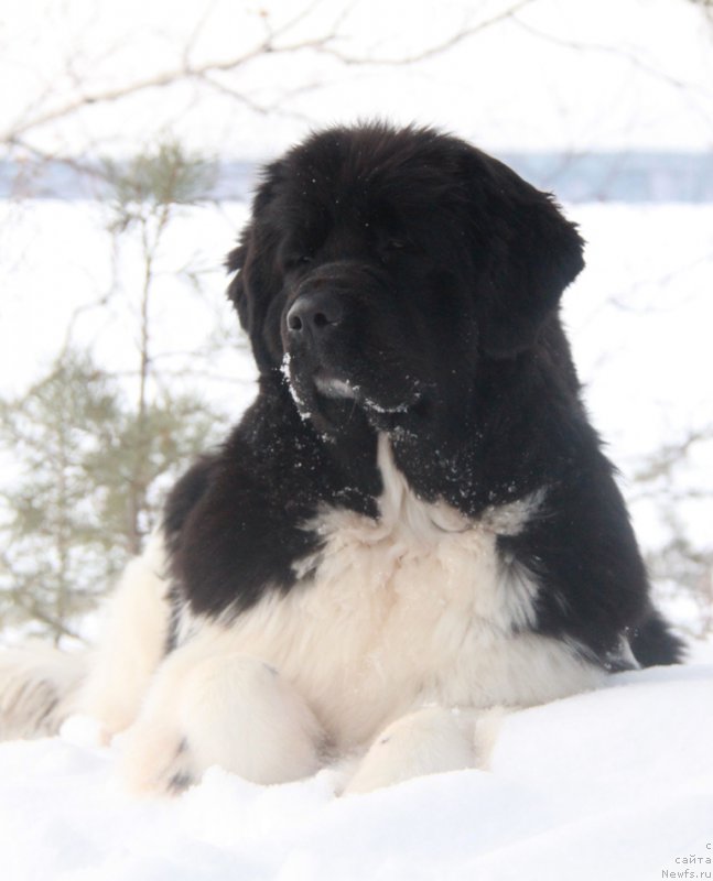 Фотография № 171812