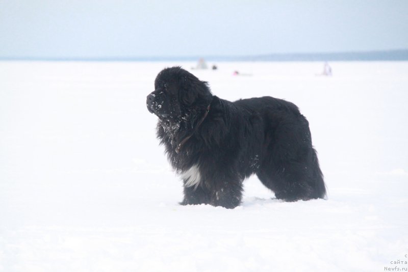 Фотография № 171815