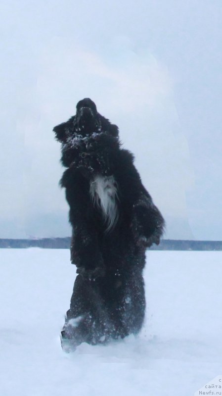 Фотография № 171832