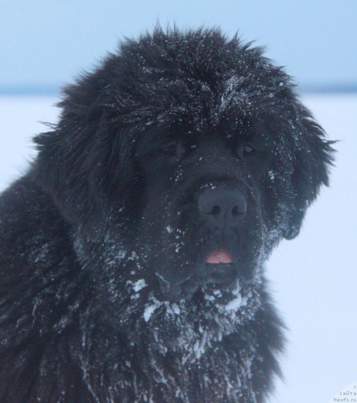 Фотография № 171833