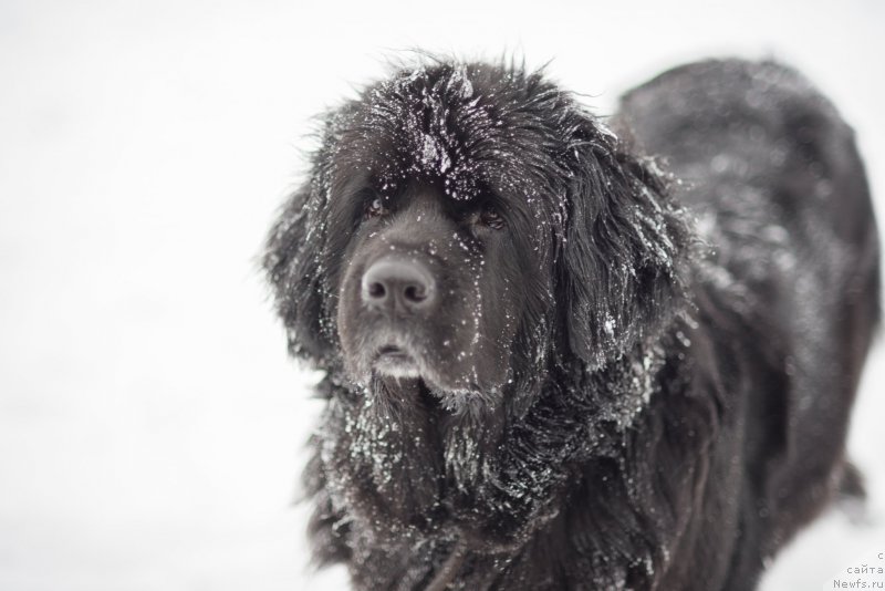 Фотография № 171843