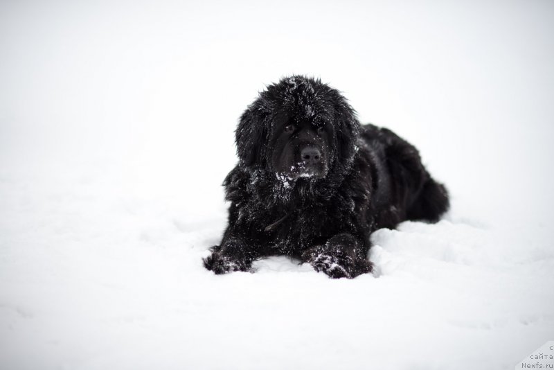 Фотография № 171844