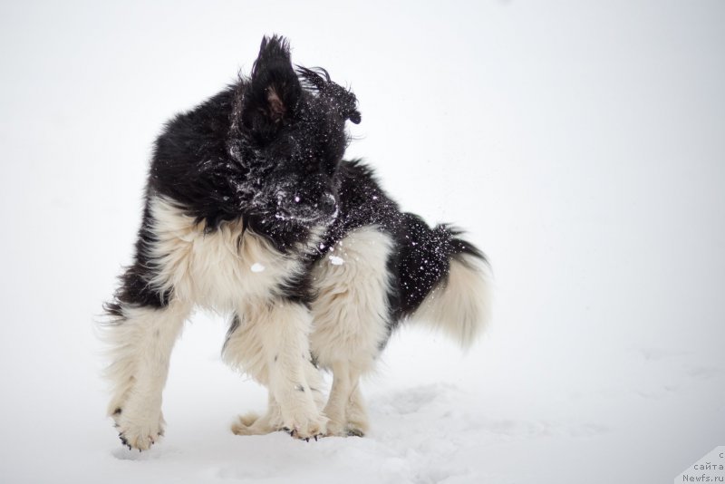 Фотография № 171845