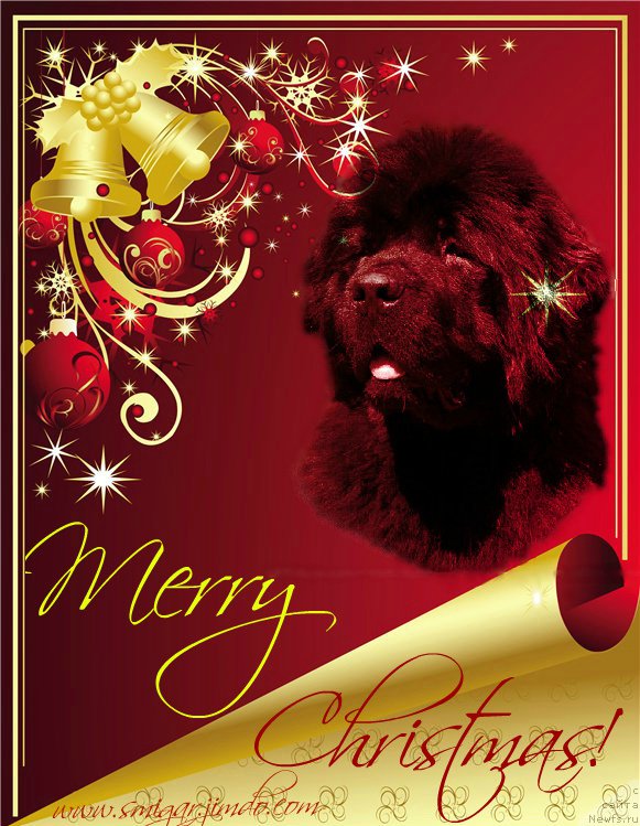 Фотография № 171880