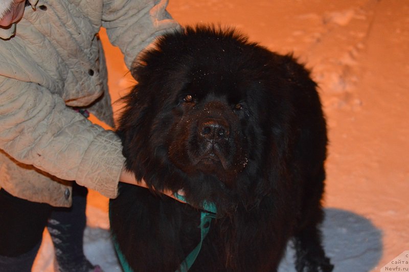 Фотография № 171938