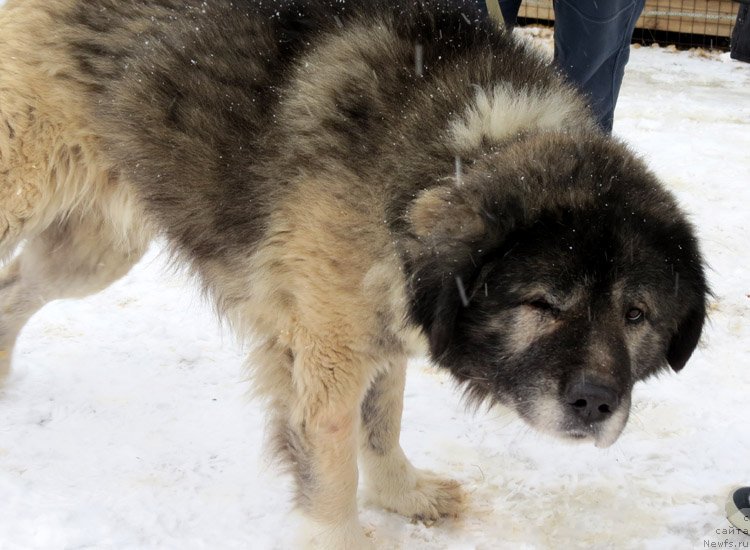 Фотография № 171959