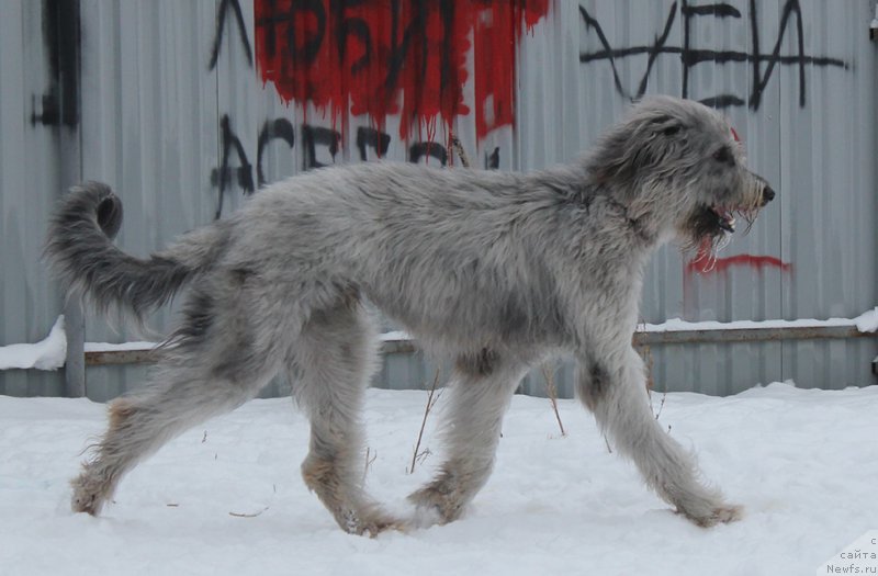 Фотография № 171981