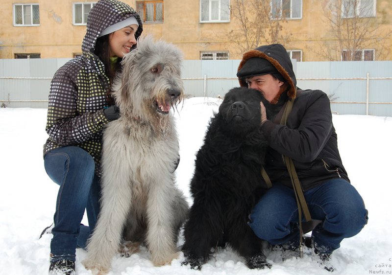 Фотография № 171986