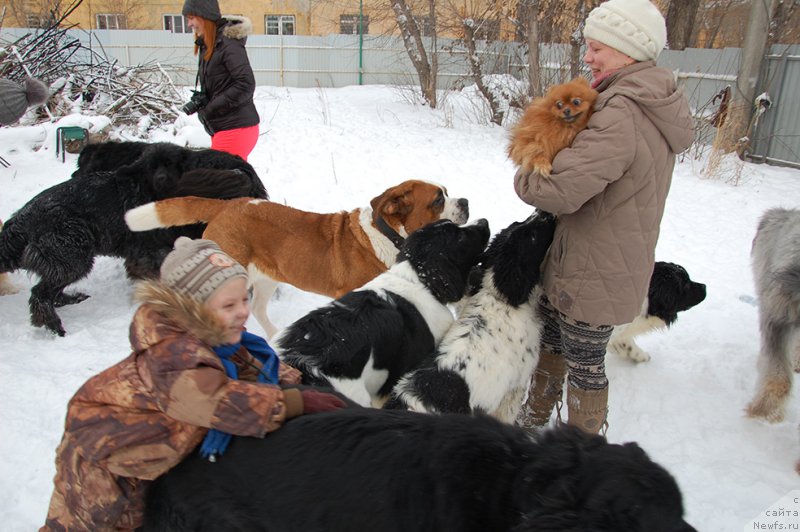 Фотография № 171989