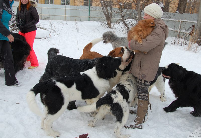 Фотография № 171990