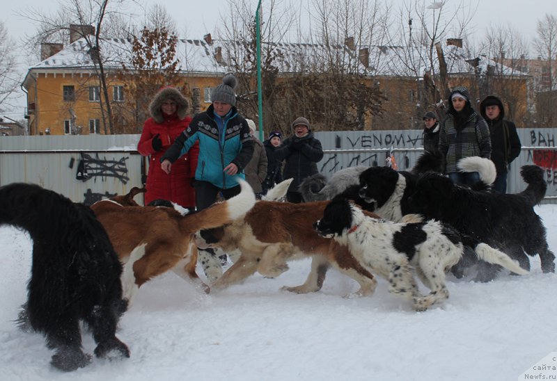 Фотография № 171994