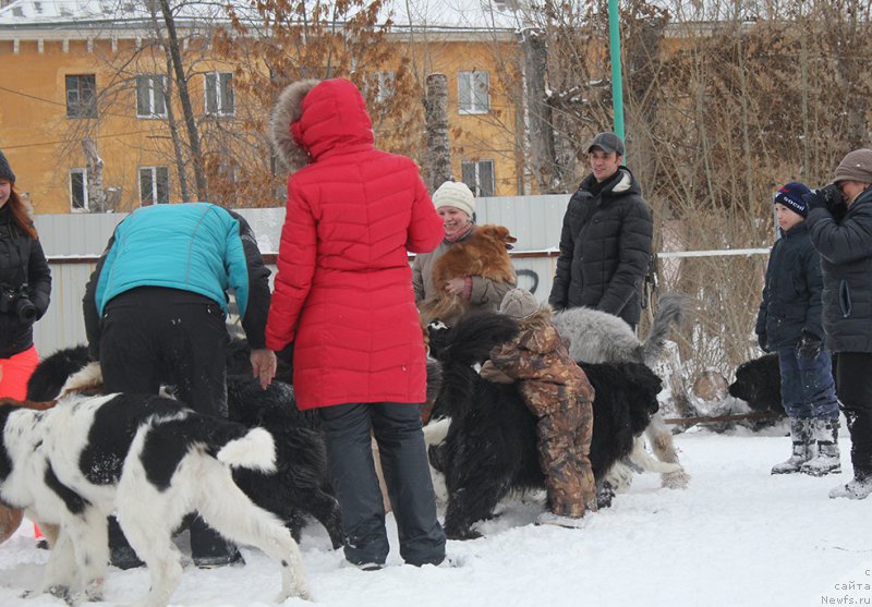 Фотография № 171996