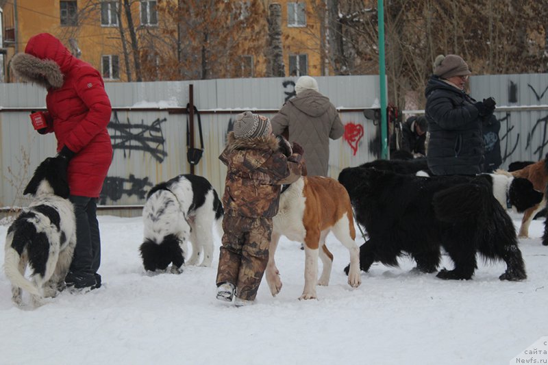 Фотография № 172003