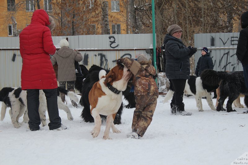 Фотография № 172004