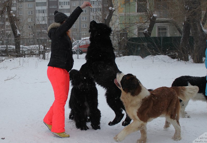 Фотография № 172009