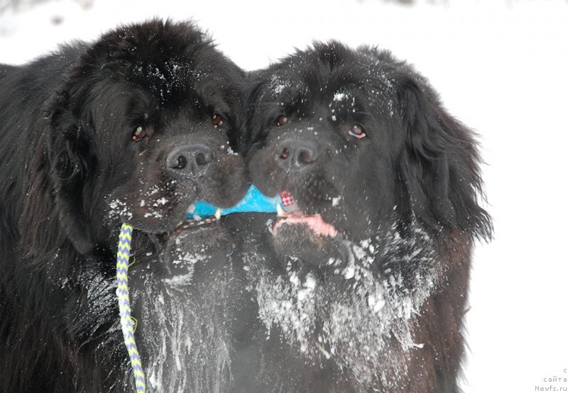 Фотография № 172017