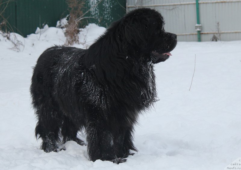 Фотография № 172019