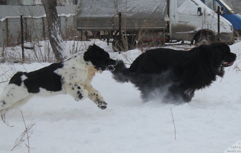 Фотография № 172024