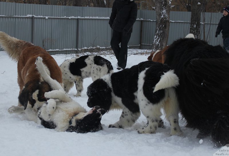 Фотография № 172027