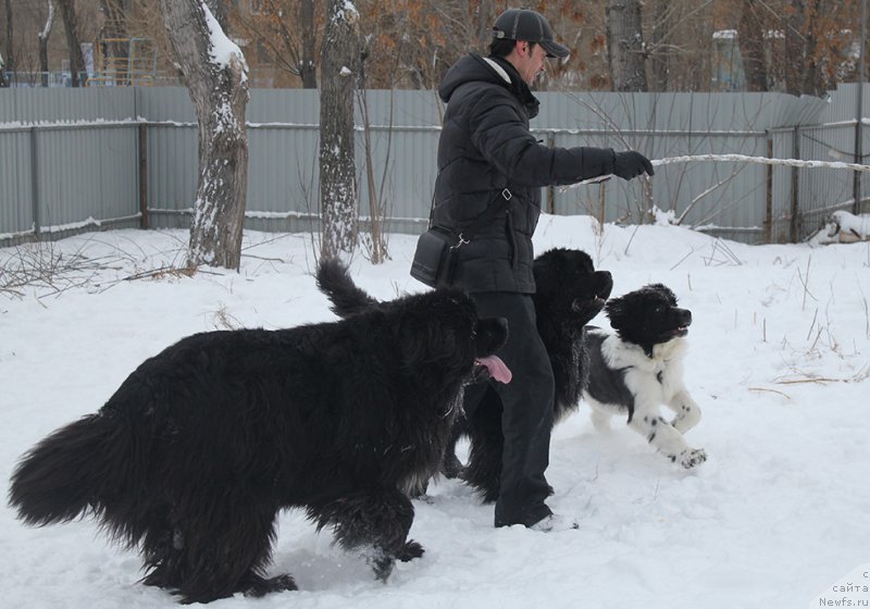 Фотография № 172030