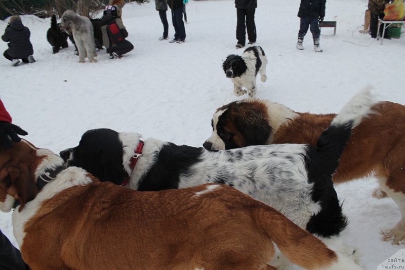 Фотография № 172033