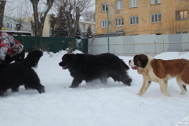 Фотография № 172036