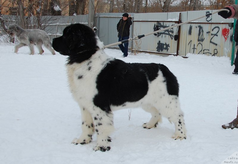 Фотография № 172037