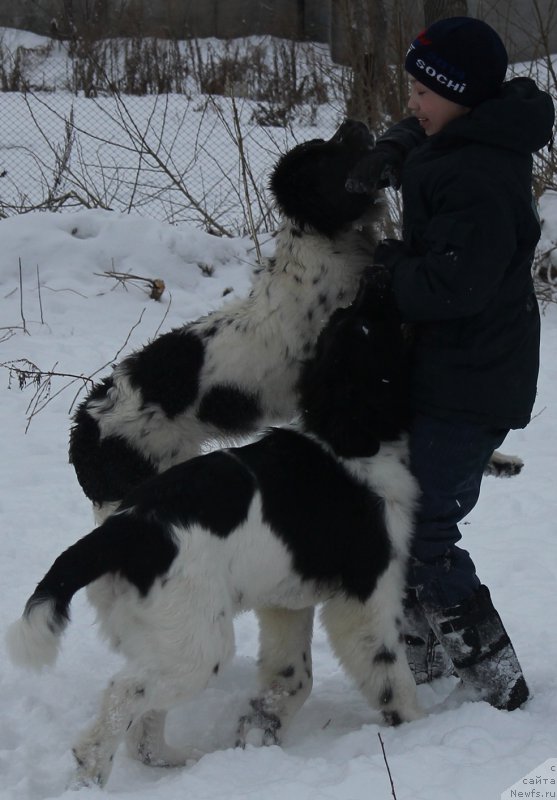 Фотография № 172041