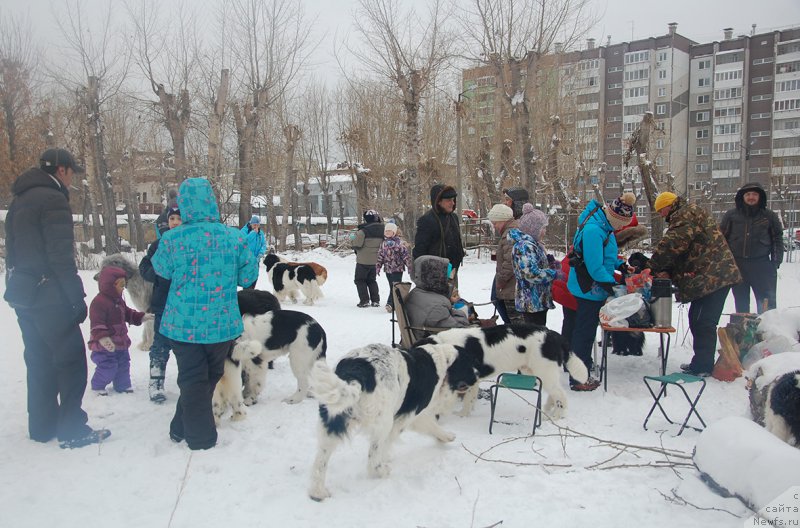 Фотография № 172044