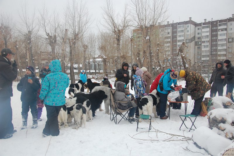 Фотография № 172045