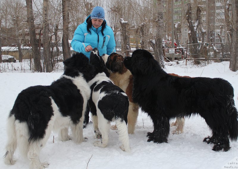 Фотография № 172048