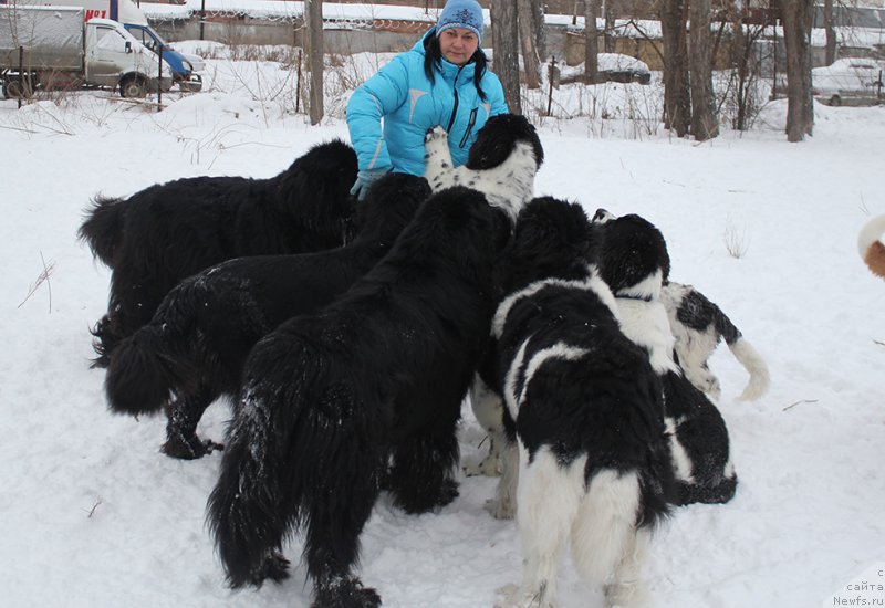 Фотография № 172049