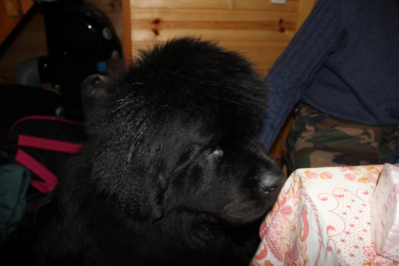 Фотография № 172108