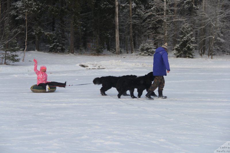 Фотография № 172115